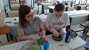 Инженерная школа ФДП: Секция «Социальная и прикладная экология» конкурса «Я и Земля-2020»