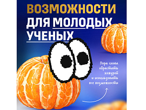 Пора реализовывать то, что откладывали на «после праздников»