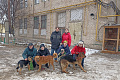 Студенты-волонтеры ВолгГТУ снова навестили обитателей приюта для бездомных животных «Любимки» (г. Волжский) 