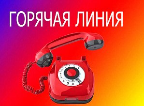 В ВолгГТУ работает горячая линия