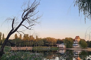 Первый канал. Программа «Доброе утро». Национальный студенческий конкурс «Благоустрой!» 