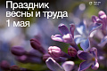 Поздравление ректора ВолгГТУ с Праздником Весны и Труда