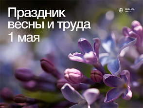 Поздравление ректора ВолгГТУ с Праздником Весны и Труда
