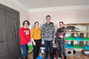 Волонтеры ВолгГТУ вновь посетили приют для бездомных кошек «Мурка»