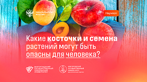 Минобрнауки РФ: Какие косточки и семена растений могут быть опасны для человека?