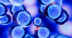 РИА Новости: Попрощаться с болью. Таких анальгетиков еще не было