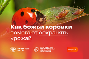 Минобрнауки России. Божьи коровки: природные защитники урожая