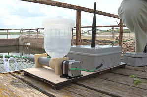GTRK "Volgograd-TRV": Volgograd Scientists Invent Digital Assistant for Fish Farmers