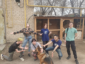 Волонтеры ВолгГТУ в очередной раз посетили приют для бездомных животных «Любимки» 