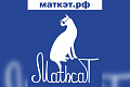 XIII ежегодный всероссийский и международный математический флешмоб MathCat